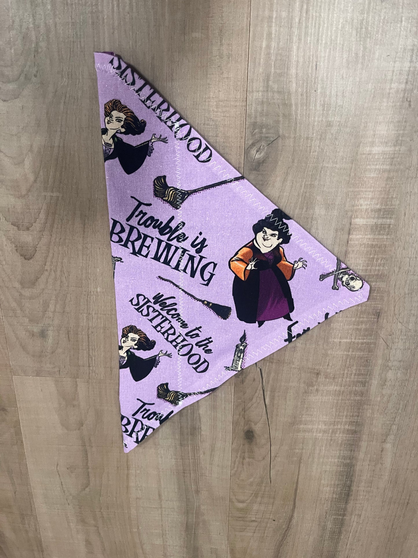 Purple Witch Pet Bandana