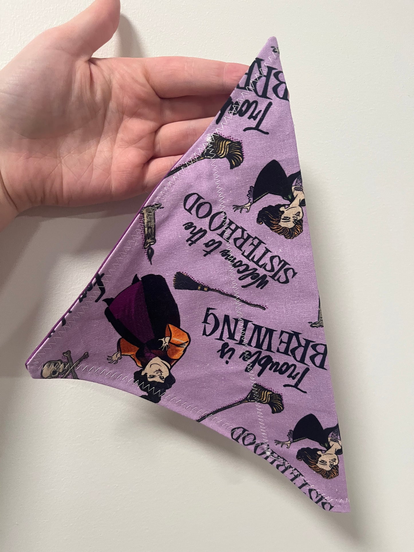 Purple Witch Pet Bandana