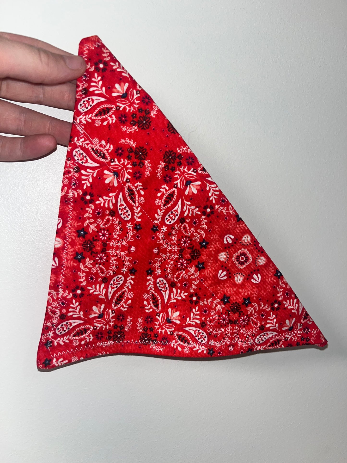Red Printed Pet Bandana