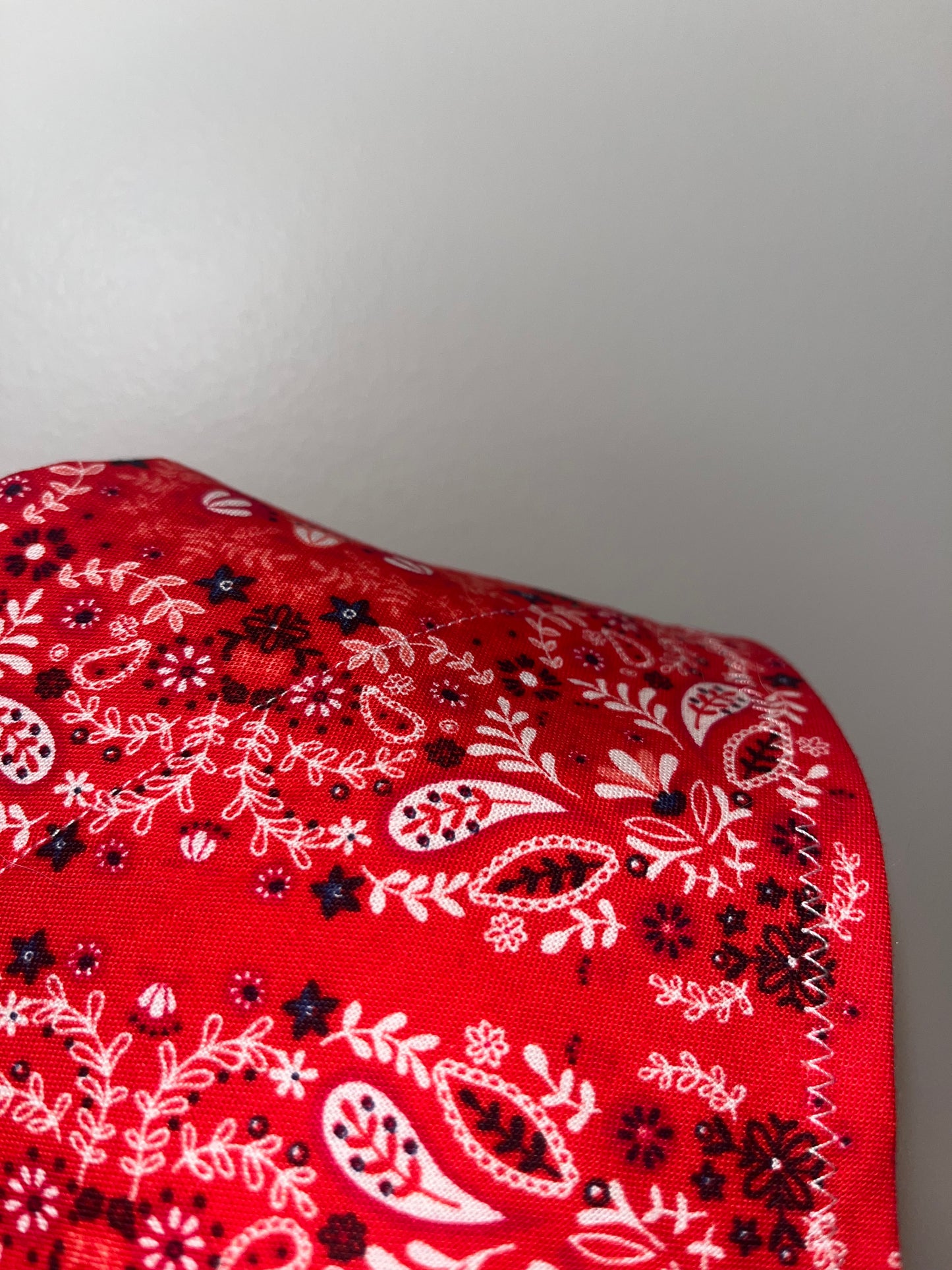 Red Printed Pet Bandana