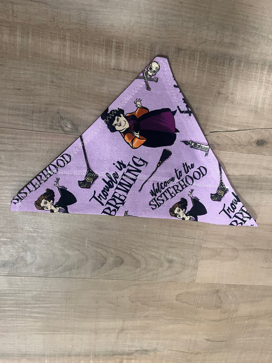 Purple Witch Pet Bandana