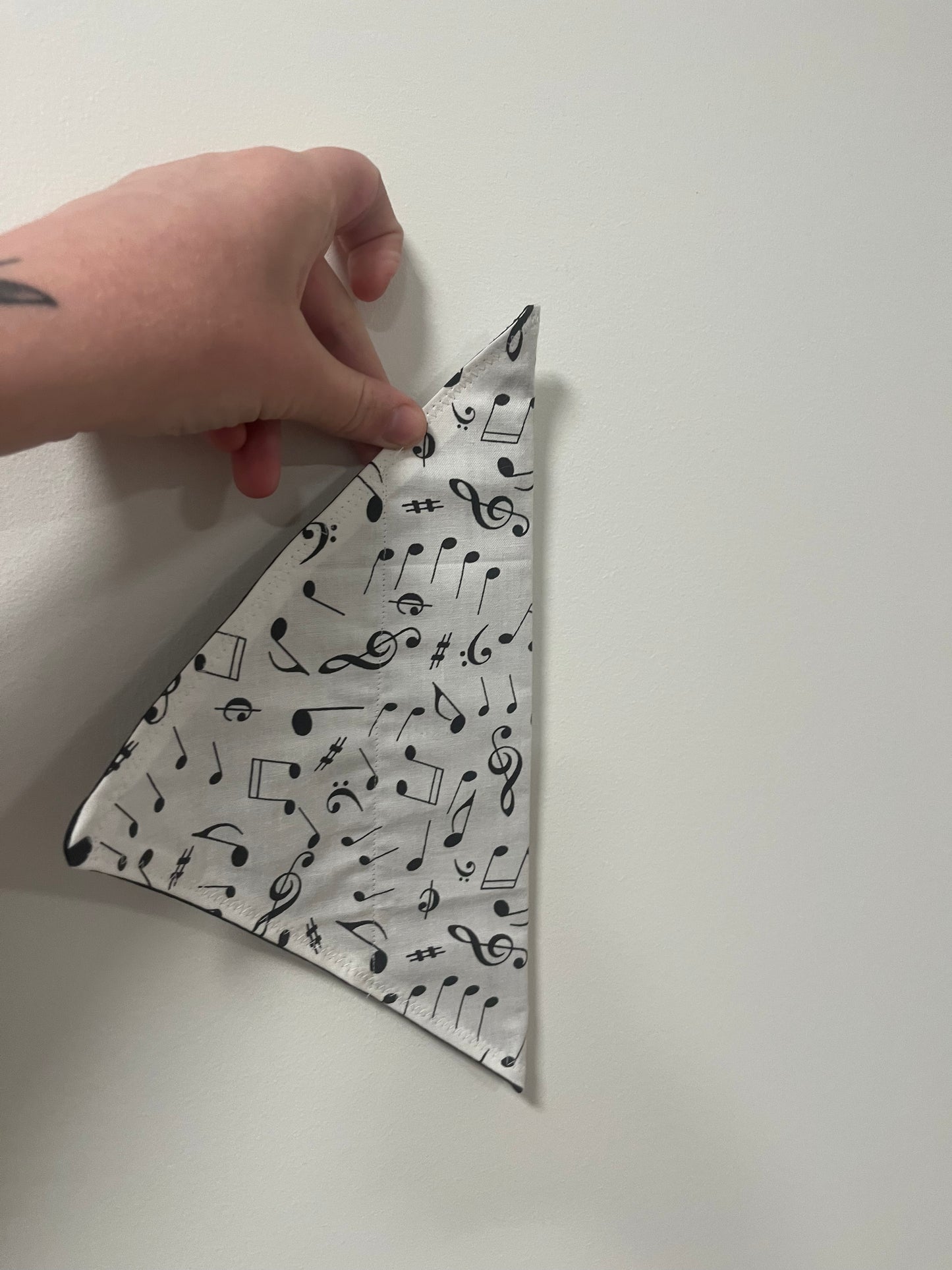 Music Notes Pet Bandanas